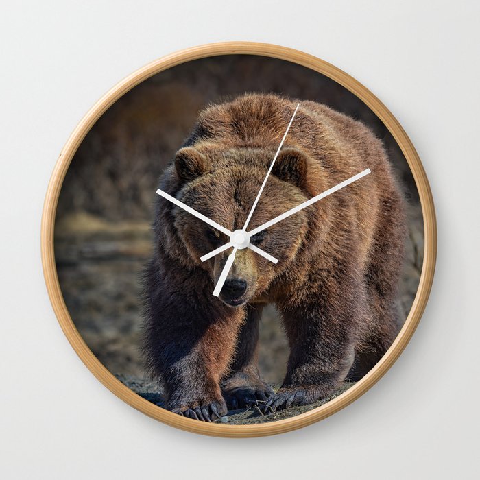 Alaskan Grizzly Bear - Spring Wall Clock