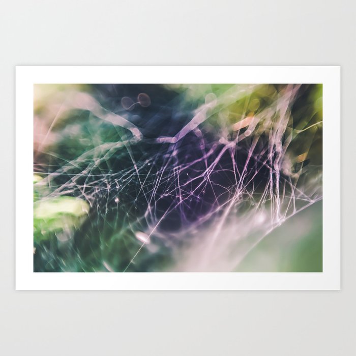 Sticky Spider Webs. Art Print