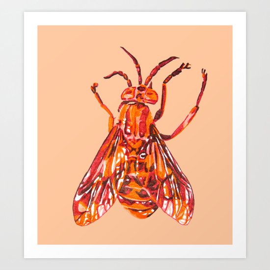 Horse Fly Art Print