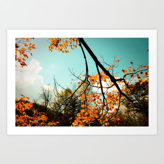 Colors of Fall Art Print