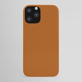 Burnt Sienna iPhone Case | Pigment, Earth, Colors, Redbrown, Natural, Decor, Rawsienna, Color, Earthy, Burntsienna 