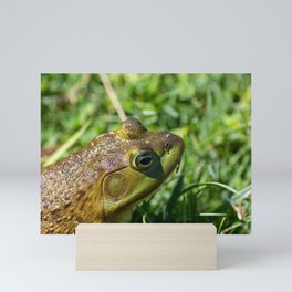 Green Frog closeup Mini Art Print