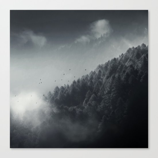 Misty Woodlands Canvas Print