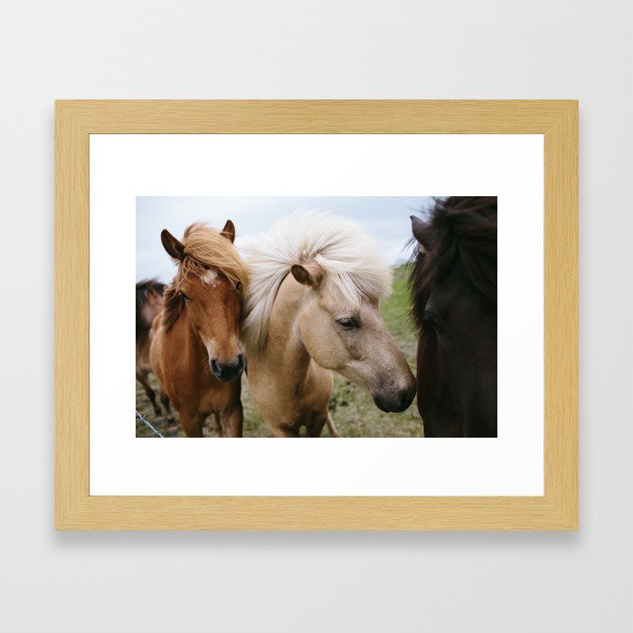 Iceland Horses Framed Art Print