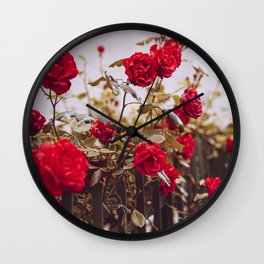 red roses in italy Wall Clock