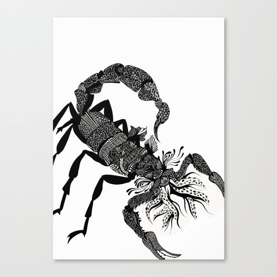 Scorpion Canvas Print