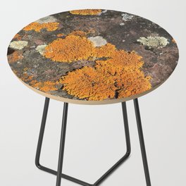 Orange you glad you're a lichen Side Table