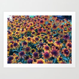Wildflowers Art Print