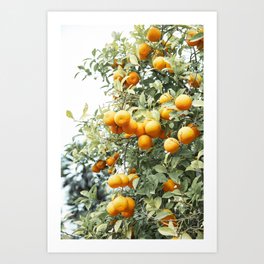 Orange Tree Summer Vibes | Seville, Spain | Holiday Travel Photography Art Print