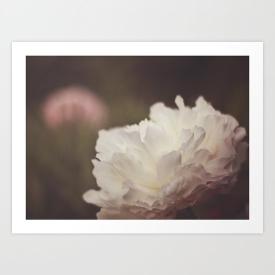 White and Pink Peonies Art Print