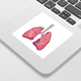 Human Anatomy Lungs Sticker