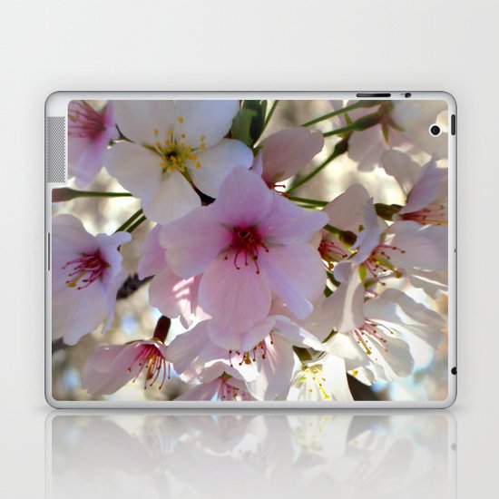 Cherry Blossom Laptop & iPad Skin