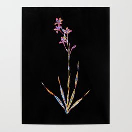 Floral Bugle Lily Mosaic on Black Poster