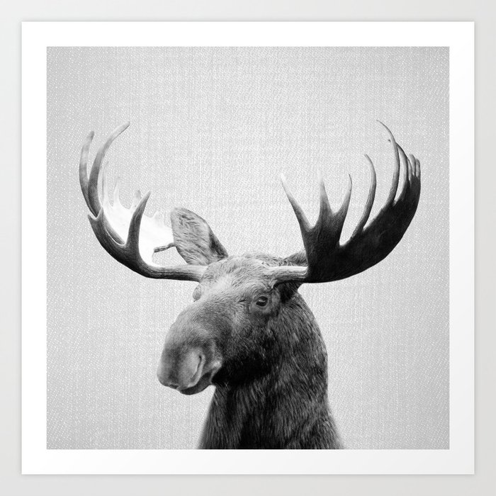 Moose Black White Art Print By Galdesign Society6
