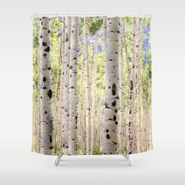 Dreamy Aspen Grove Shower Curtain