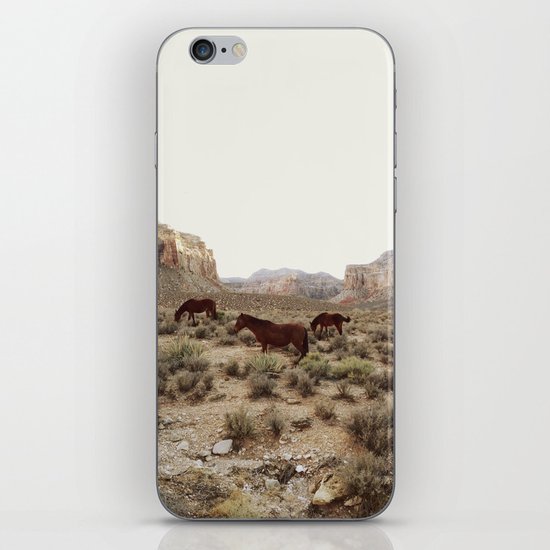 Hualapai Hilltop Horses iPhone & iPod Skin