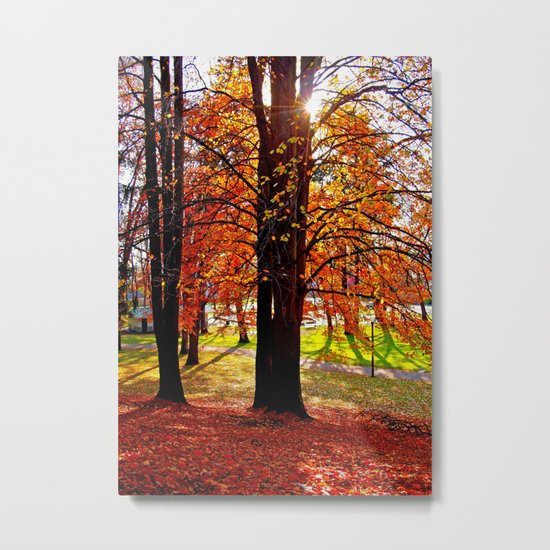 Autumn sunshine Metal Print