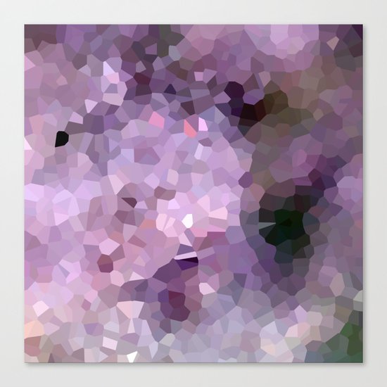 Discoveries Canvas Print