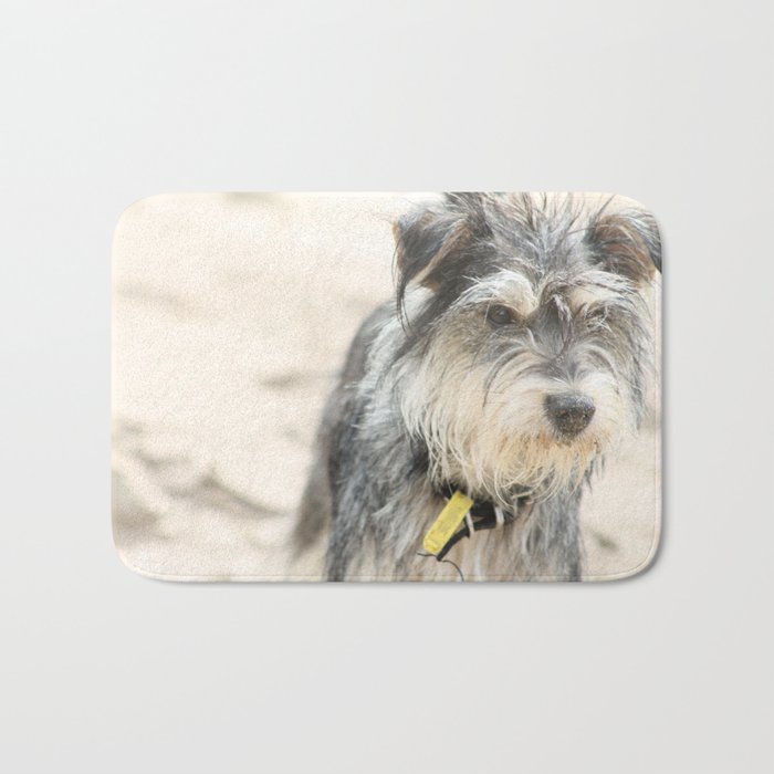 Pippa - mini schnauzer dog at the beach Bath Mat