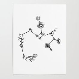 Sagittarius Floral Zodiac Constellation Poster
