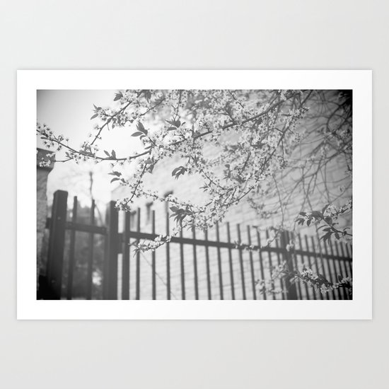 Fading Art Print