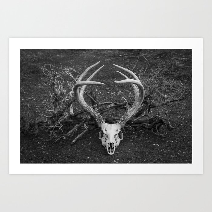 Deer Skull Art Print