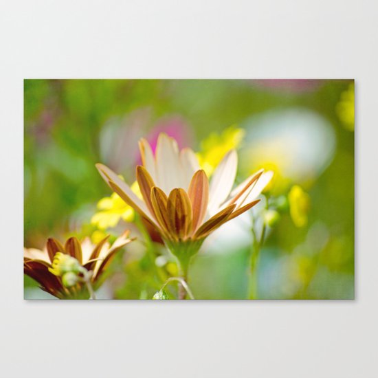 Pastel Meadow Canvas Print