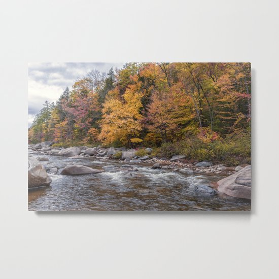 Foliage Creek Metal Print