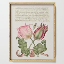 Vintage rose calligraphic poster art Serving Tray