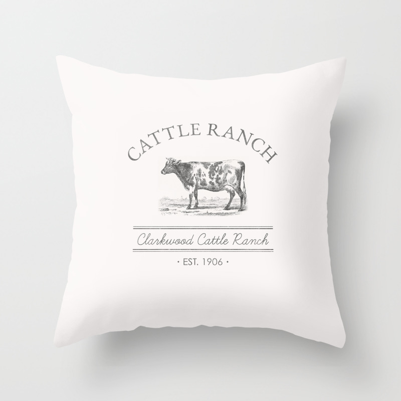 rustic farmhouse pillows