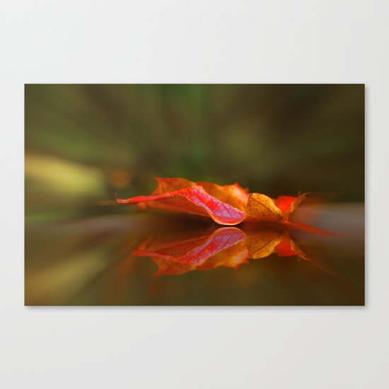 Maple Leaf Reflection Canvas Print