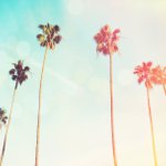 Los Angeles Photography