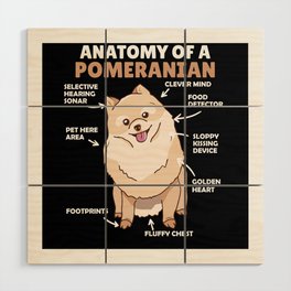 Anatomy Of A Pomeranian Cute Dog Puppy Wood Wall Art