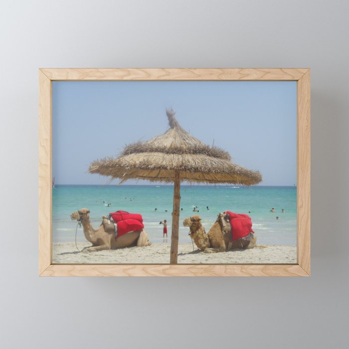 Camels on the beach  Framed Mini Art Print