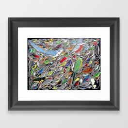 Toucans, parrots and tropical birds of Costa Rica Framed Art Print