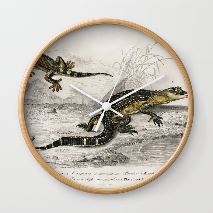 Alligator & Lilford'swall lizard  Wall Clock