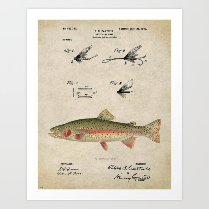 Vintage Rainbow Trout Fly Fishing Lure Patent Game Fish Identification  Chart Art Print