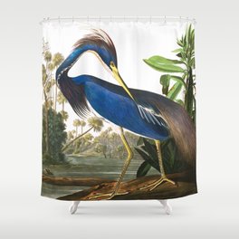 Louisiana Heron by John James Audubon Shower Curtain