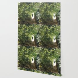 ENCHANTED TREE TUNNEL Wallpaper