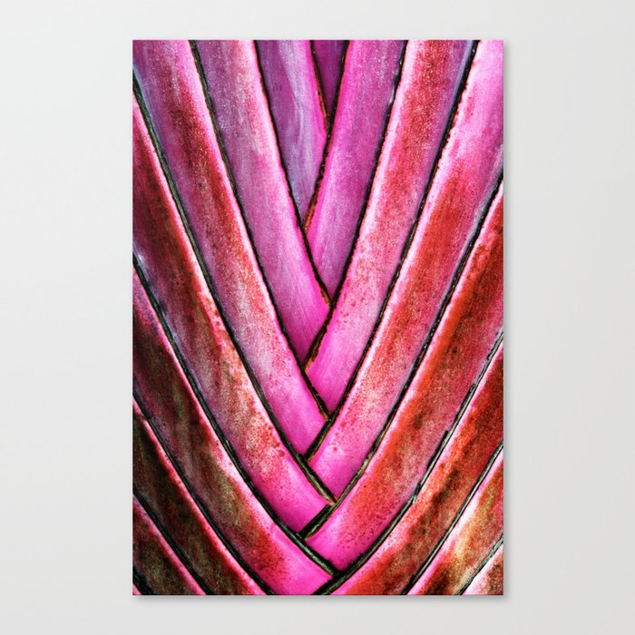 Traveler's Tree Bark Pink Tint  Canvas Print