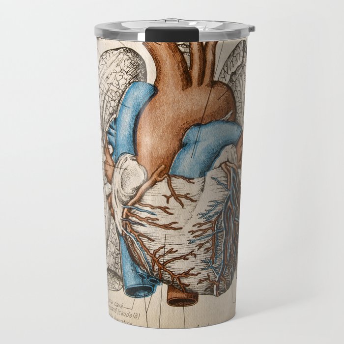 Vintage anatomy illustration Travel Mug