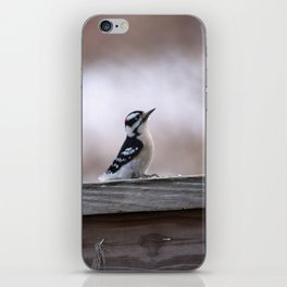 Mini Woodpecker (photography) iPhone Skin