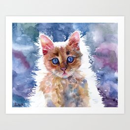 Red kitten Art Print