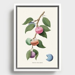 Macaron Plant Framed Canvas