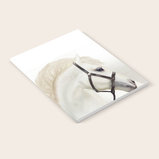 Sight Notebook