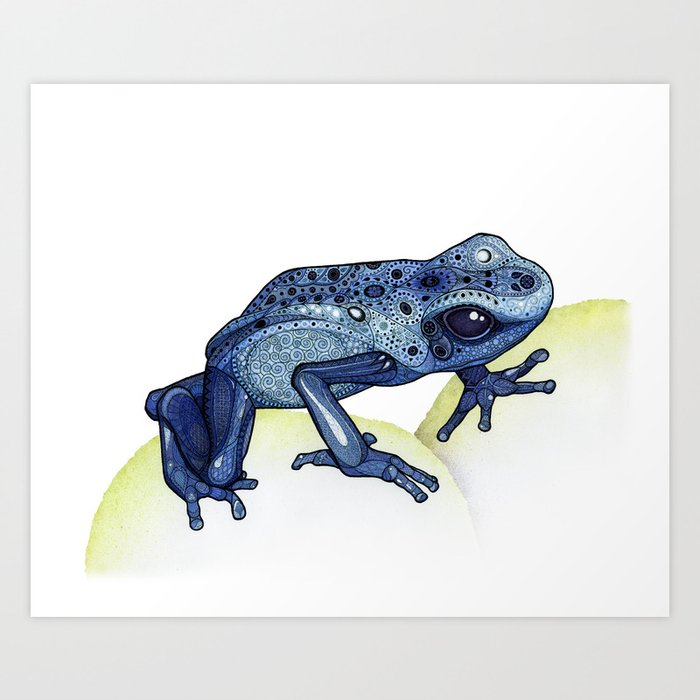 Poison Dart Frog Art Print
