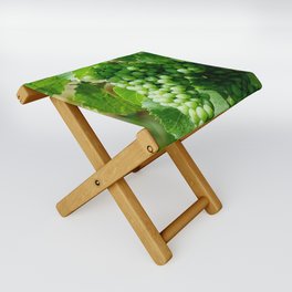 Riesling grape vines in a french vineyard | Alsace white wines Folding Stool