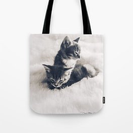 Cat's In The Cradle - Art 1 Tote Bag