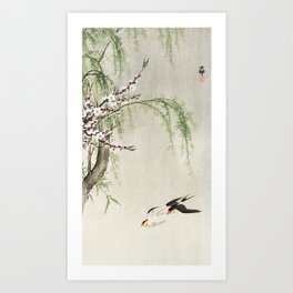 Swallows in Flight Art Print