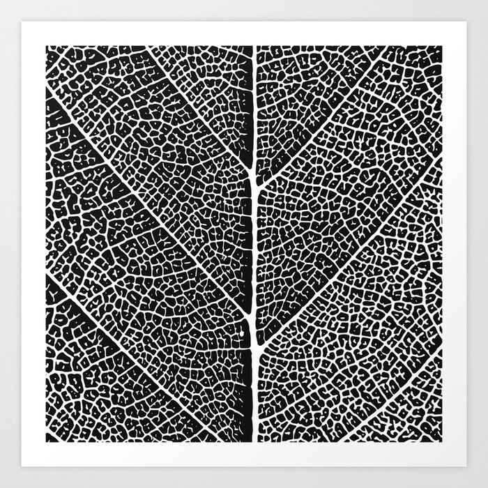 Modern Abstract Black White Tree Leave Texture Art Print By
